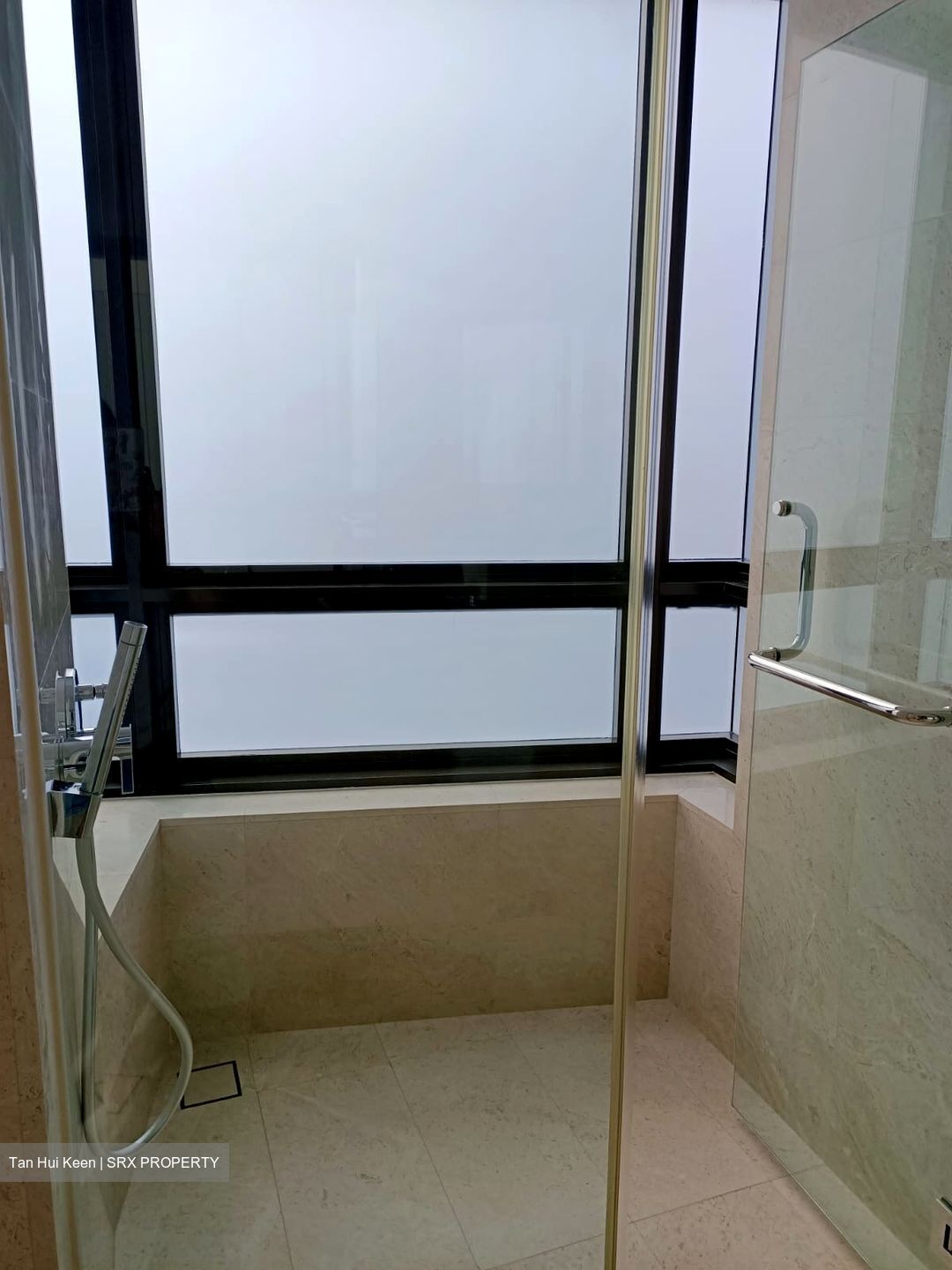 Trilight (D11), Condominium #503182441